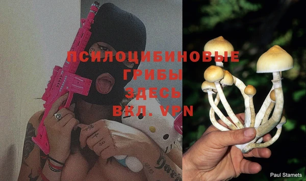 кокс Верея